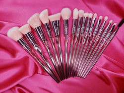 Shakina Cosmetics Deluxe Brush Set